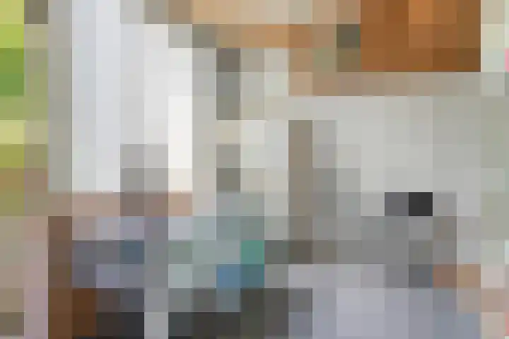 Couwervestraat 27 Goes thumbnail 19