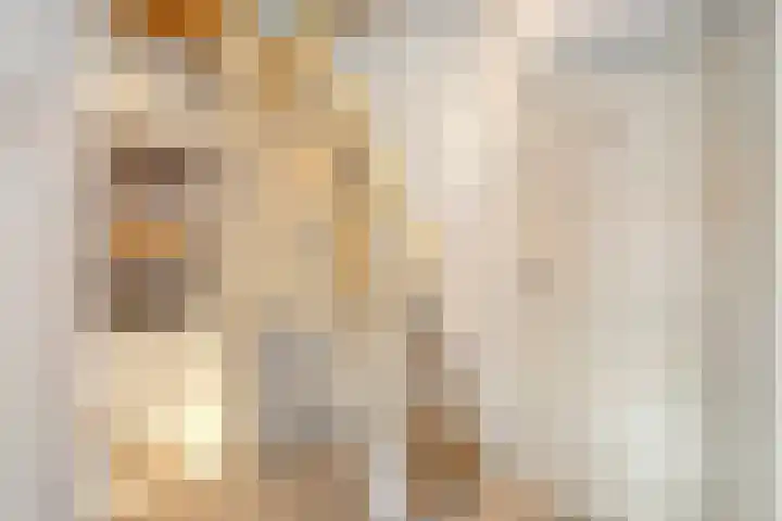 Couwervestraat 27 Goes thumbnail 21