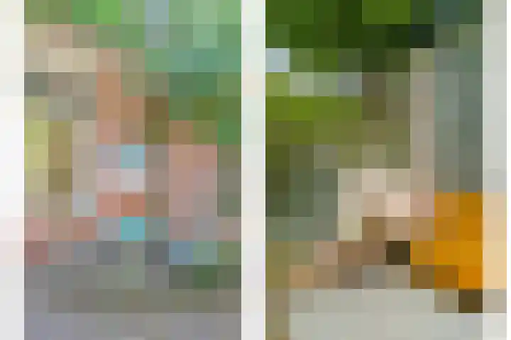 Couwervestraat 27 Goes thumbnail 29