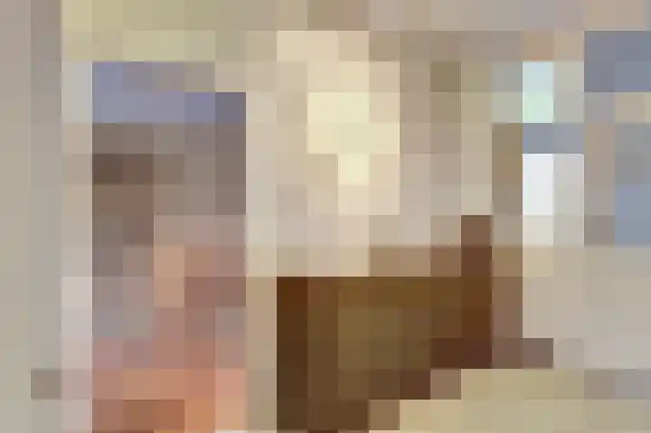 Couwervestraat 33 Goes thumbnail 10