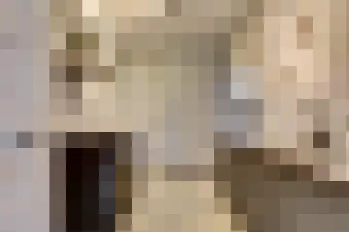 Couwervestraat 33 Goes thumbnail 11
