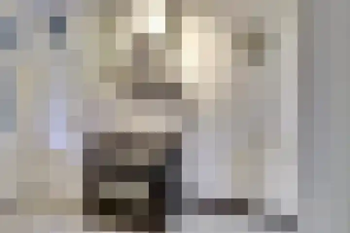 Couwervestraat 33 Goes thumbnail 14