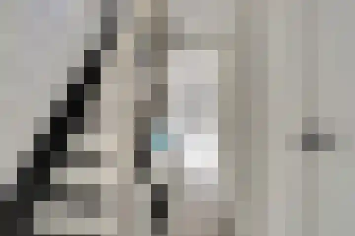 Couwervestraat 33 Goes thumbnail 19
