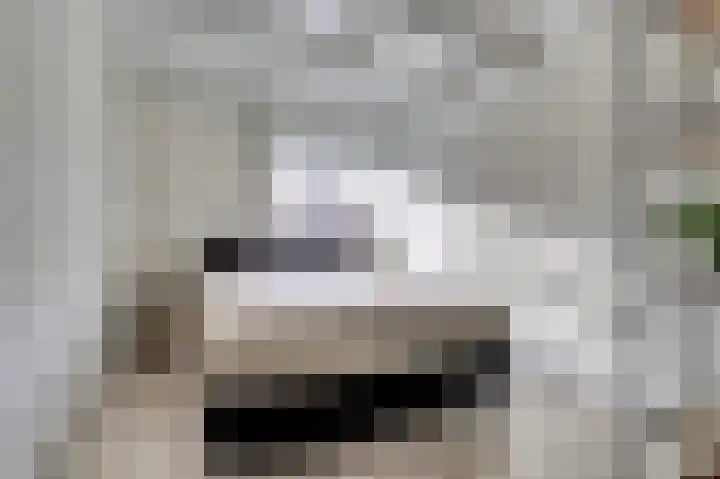Couwervestraat 33 Goes thumbnail 21