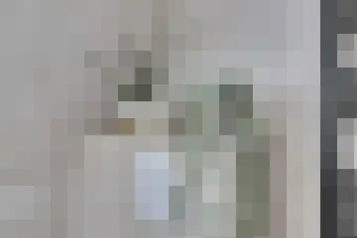 Couwervestraat 33 Goes thumbnail 26