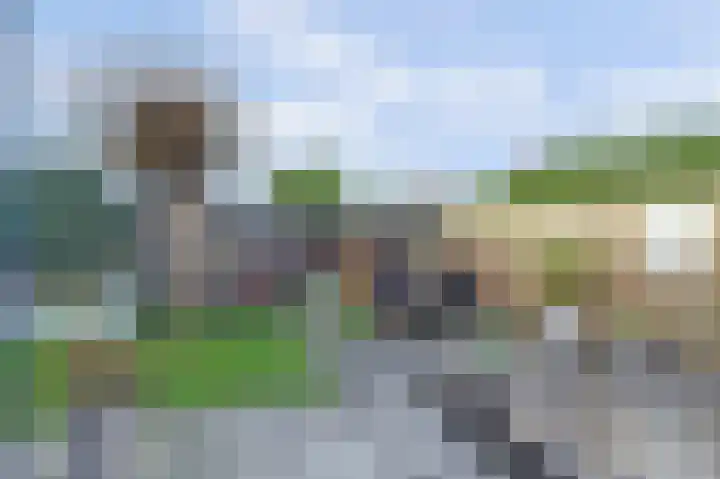 Couwervestraat 33 Goes thumbnail 29