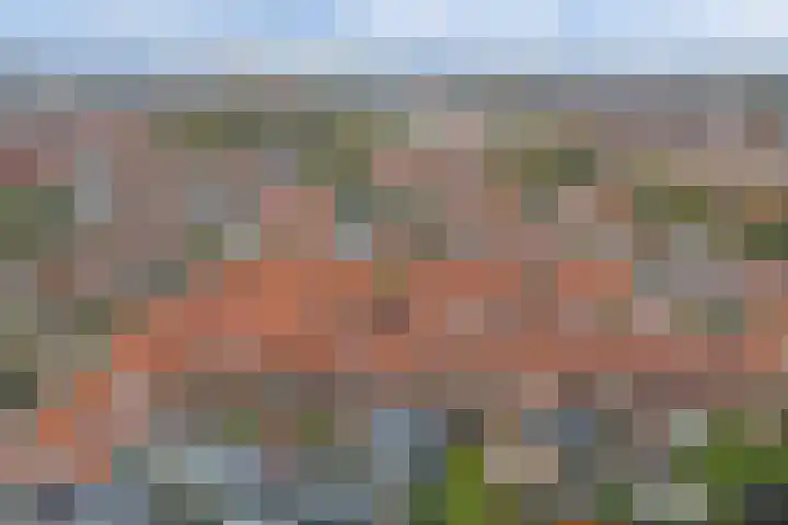 Couwervestraat 33 Goes thumbnail 38