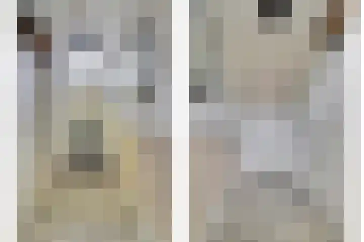 Couwervestraat 33 Goes thumbnail 4