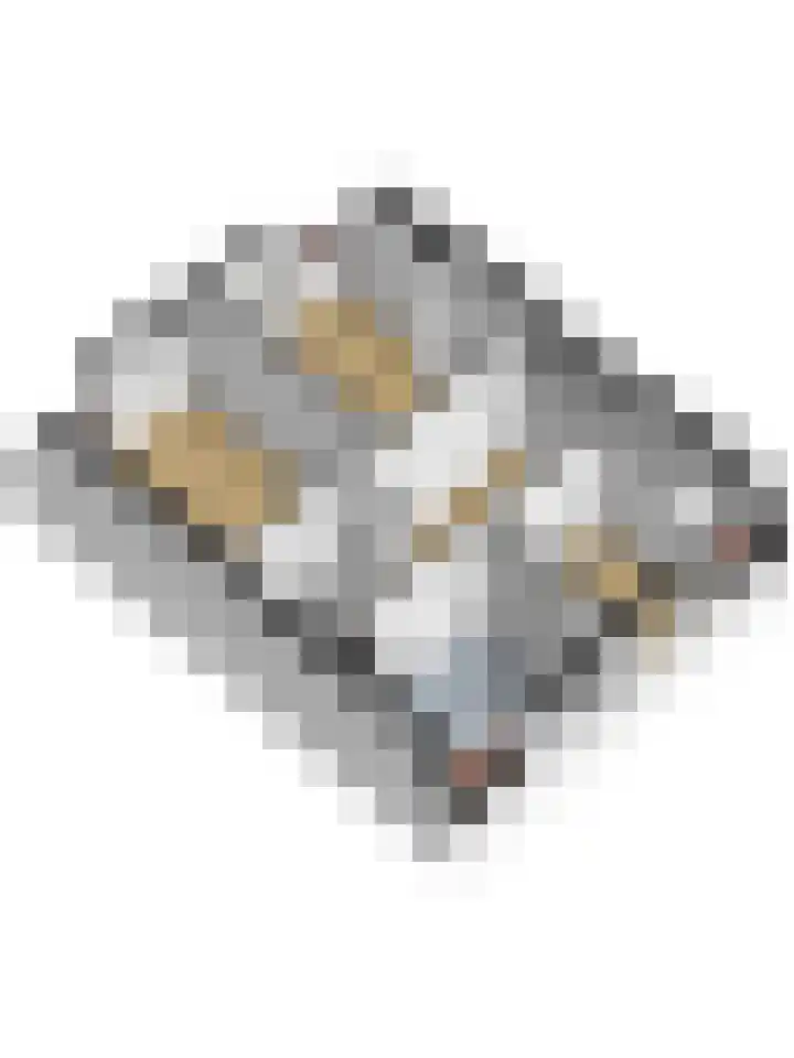 Couwervestraat 33 Goes thumbnail 42