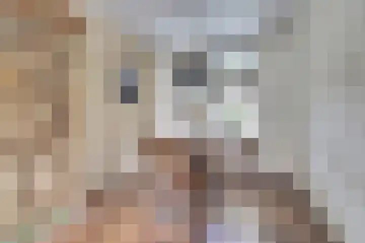 Couwervestraat 33 Goes thumbnail 8