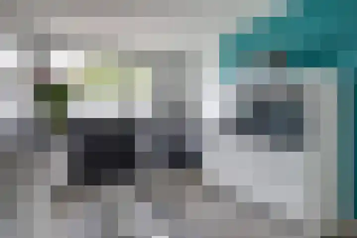 Couwervestraat 5 Kruiningen thumbnail 12