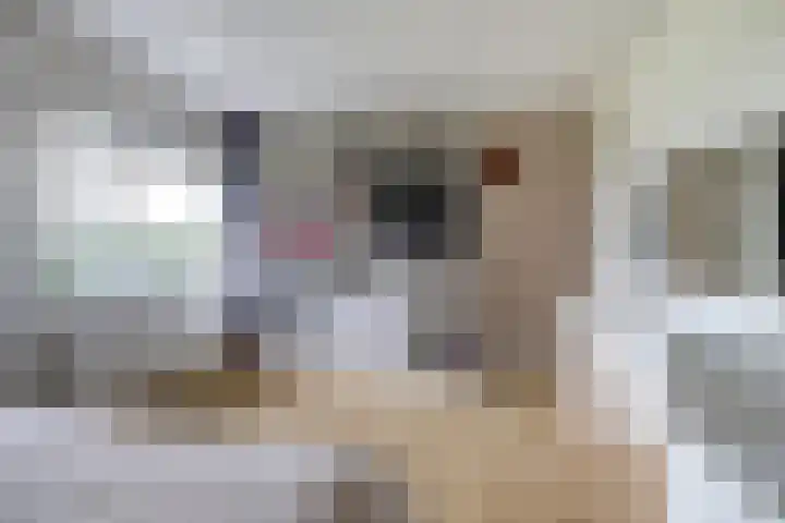 Couwervestraat 5 Kruiningen thumbnail 22