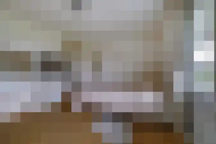 Couwervestraat 5 Kruiningen thumbnail 25