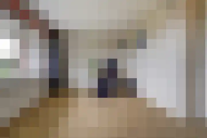 Couwervestraat 5 Kruiningen thumbnail 27
