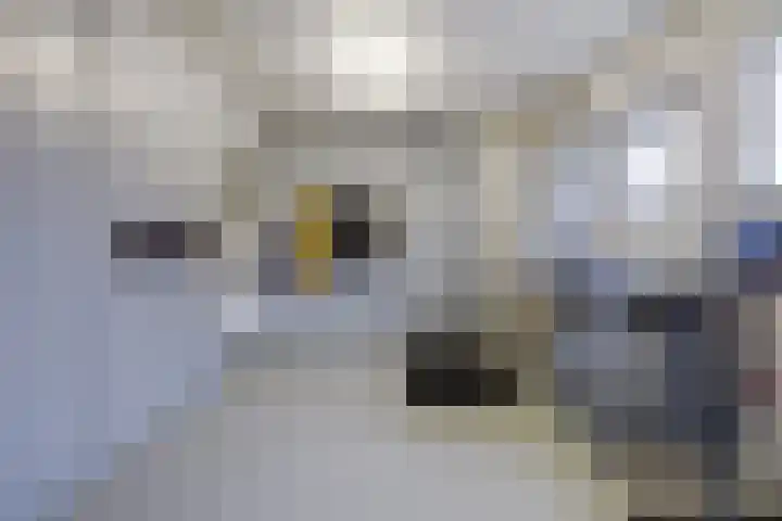 Couwervestraat 5 Kruiningen thumbnail 29
