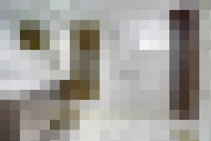 Couwervestraat 5 Kruiningen thumbnail 31