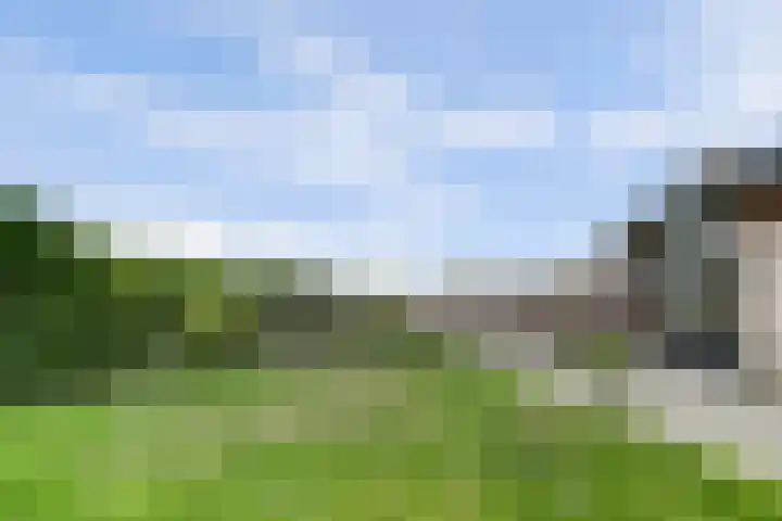 Couwervestraat 5 Kruiningen thumbnail 36