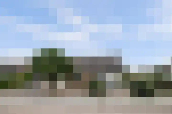 Couwervestraat 5 Kruiningen thumbnail 43