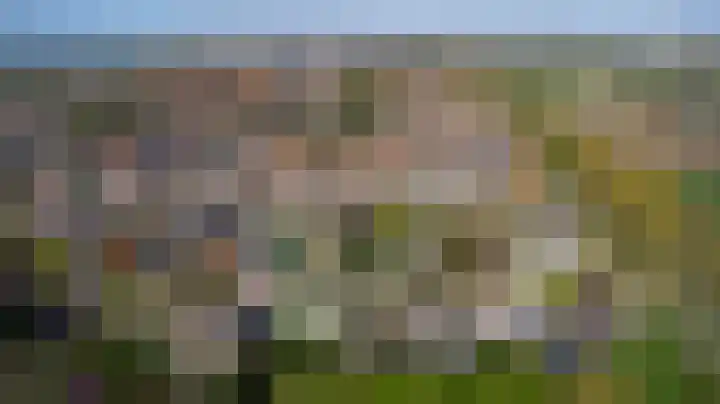 Couwervestraat 5 Kruiningen thumbnail 46