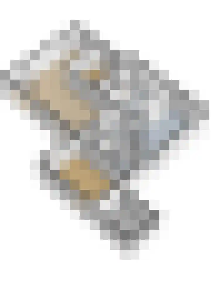Couwervestraat 5 Kruiningen thumbnail 52