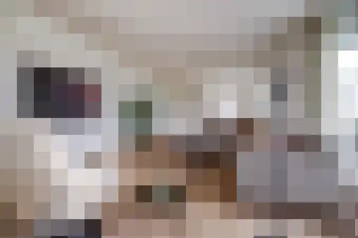 Couwervestraat 5 Kruiningen thumbnail 8