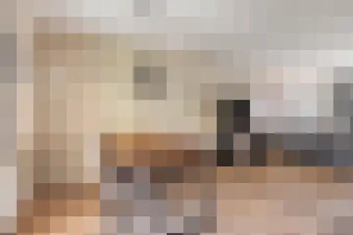 Couwervestraat 51 01 Goes thumbnail 16