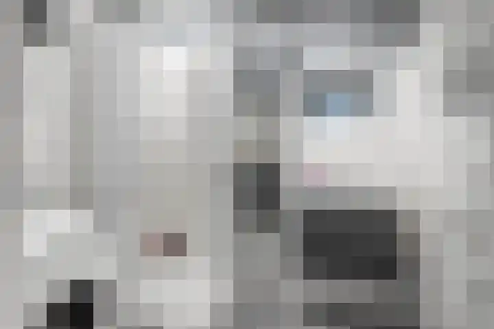 Couwervestraat 51 01 Goes thumbnail 22