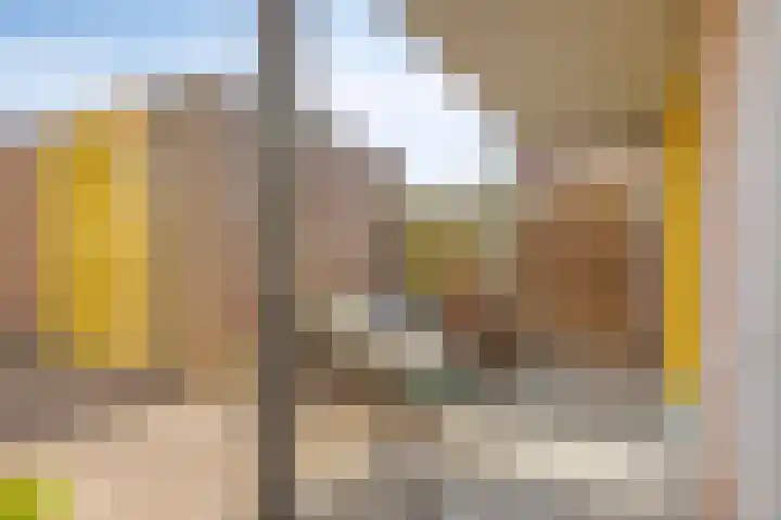 Couwervestraat 51 01 Goes thumbnail 25