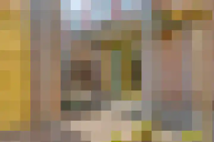 Couwervestraat 51 01 Goes thumbnail 26