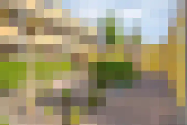 Couwervestraat 51 01 Goes thumbnail 27