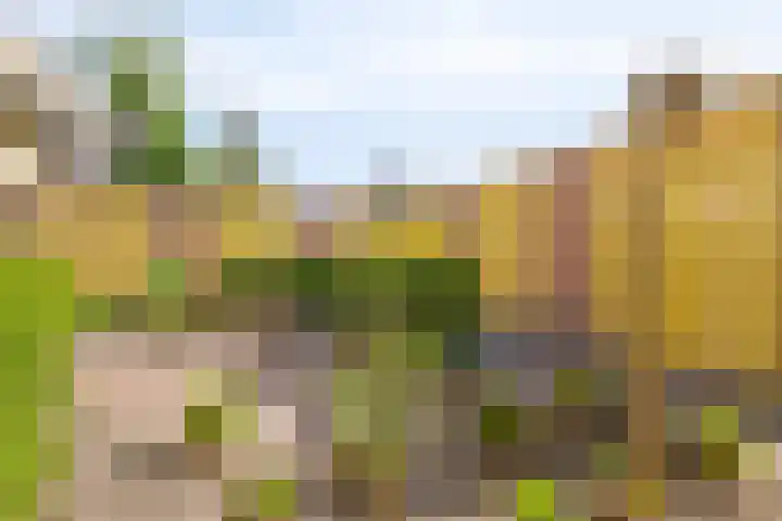 Couwervestraat 51 01 Goes thumbnail 28