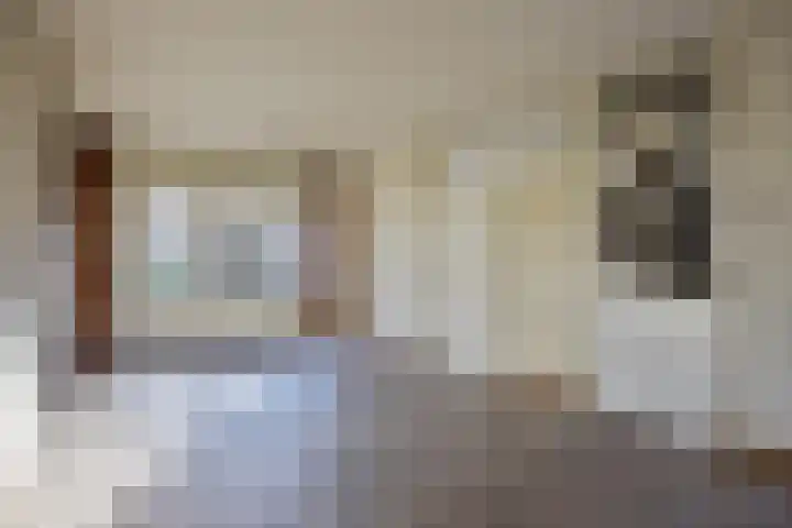 Covelakker 28 Eindhoven thumbnail 11