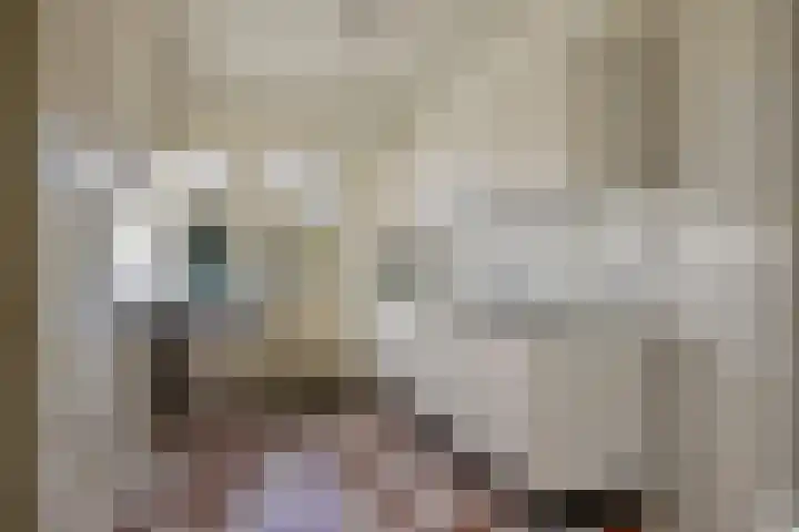 Covelakker 28 Eindhoven thumbnail 14