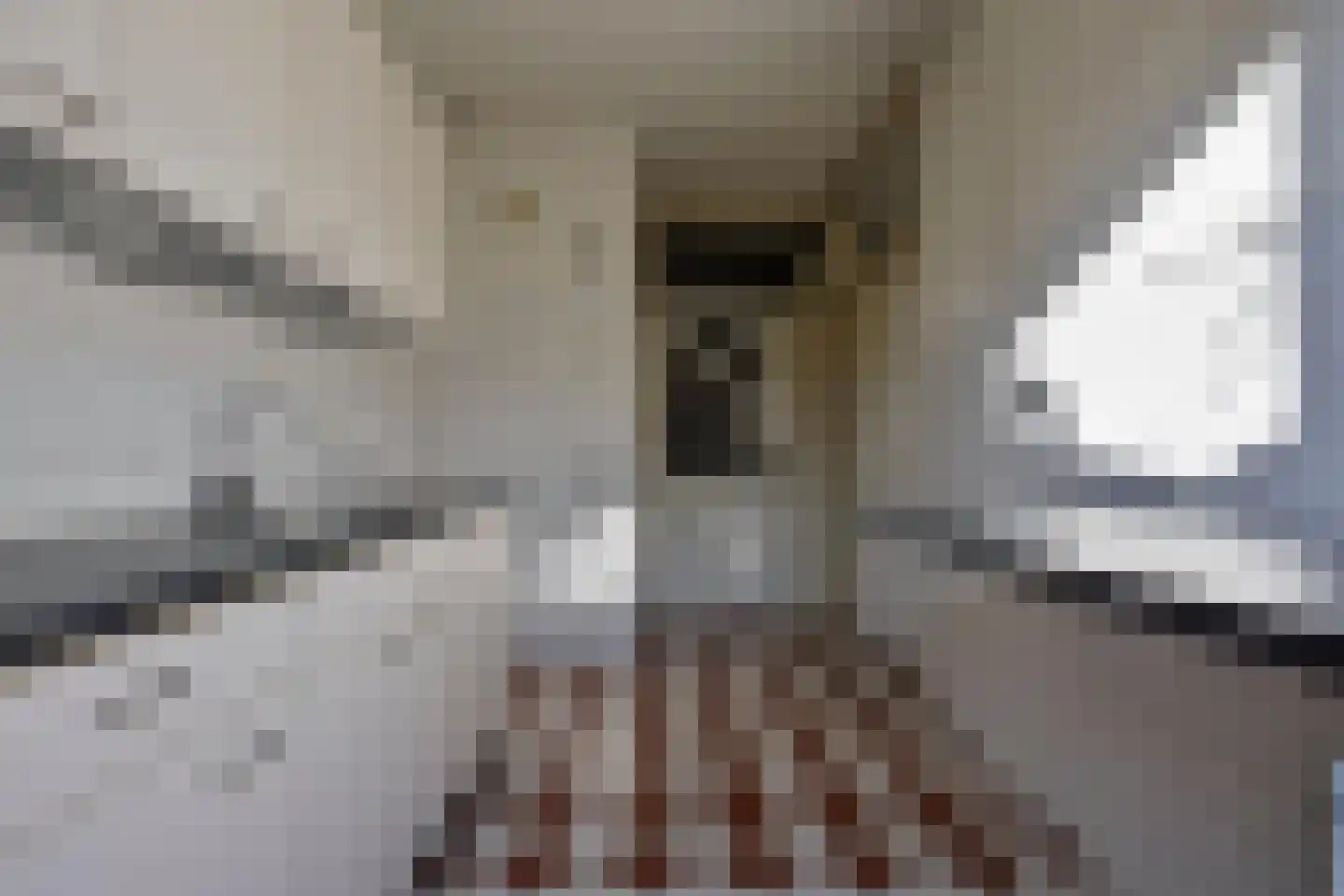 Covelakker 28 Eindhoven thumbnail 16