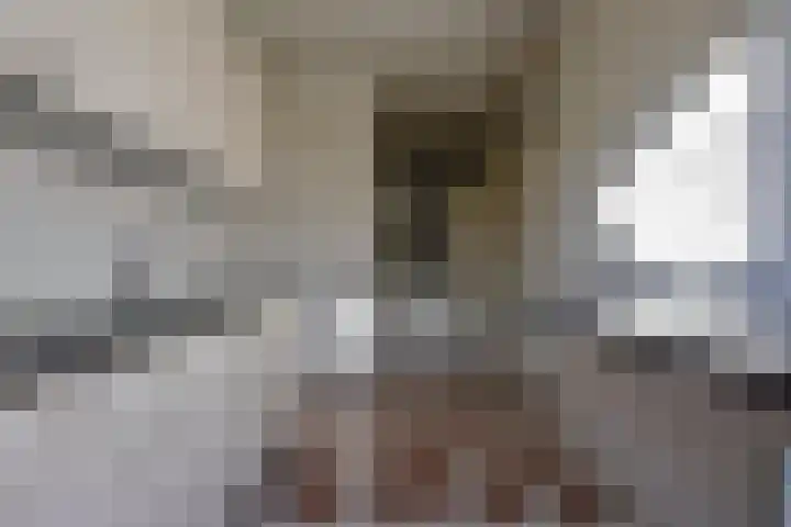 Covelakker 28 Eindhoven thumbnail 16