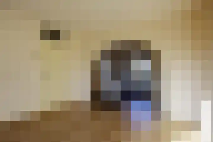 Covelakker 28 Eindhoven thumbnail 23