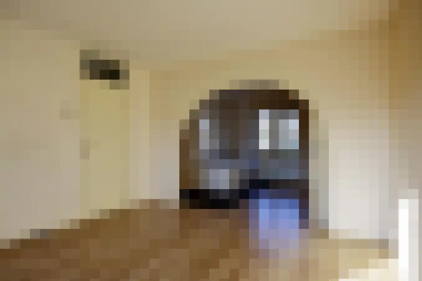 Covelakker 28 Eindhoven thumbnail 23