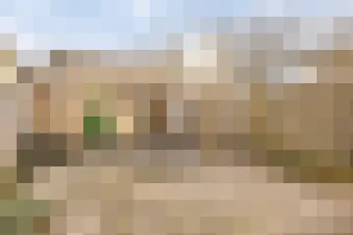 Covelakker 28 Eindhoven thumbnail 39