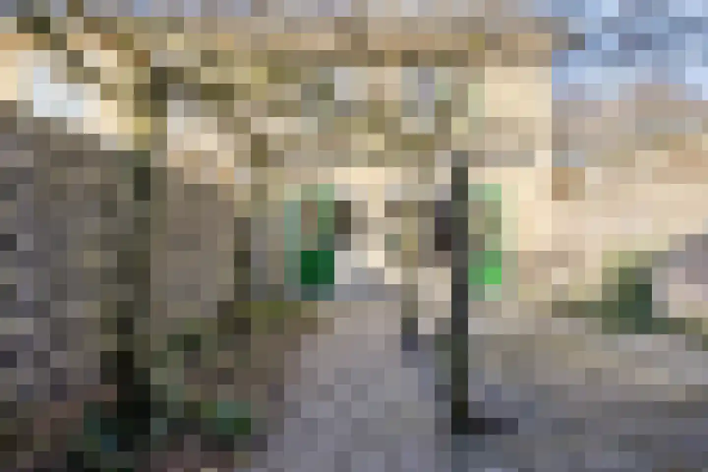 Covelakker 28 Eindhoven thumbnail 40