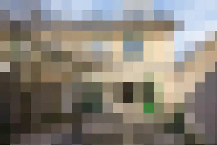 Covelakker 28 Eindhoven thumbnail 41