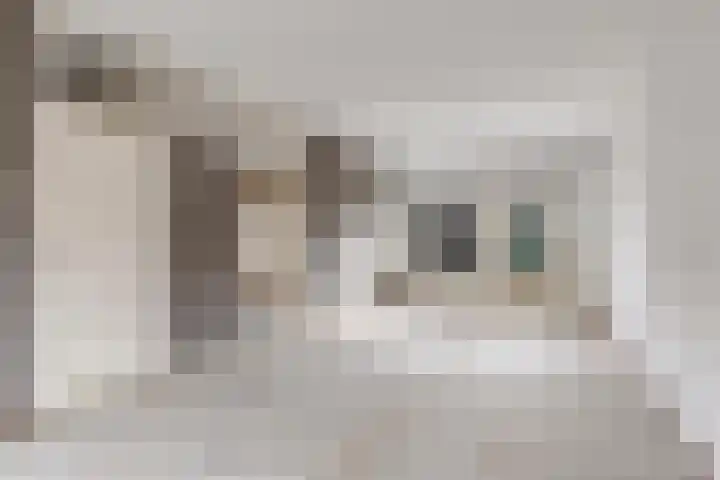 Covelakker 6 Eindhoven foto 2