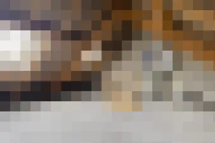 Covelakker 6 Eindhoven thumbnail 20