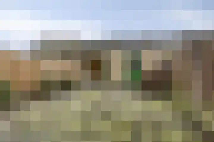 Covelakker 6 Eindhoven thumbnail 22