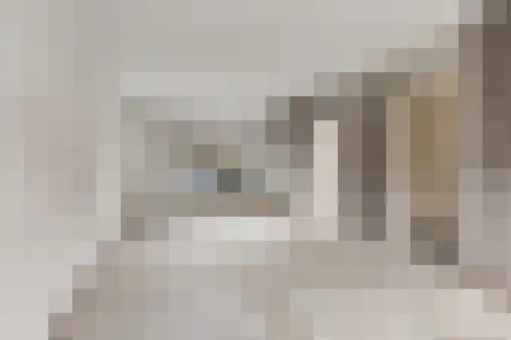 Covelakker 6 Eindhoven foto 3