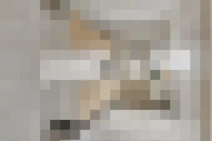 Covelakker 6 Eindhoven thumbnail 4