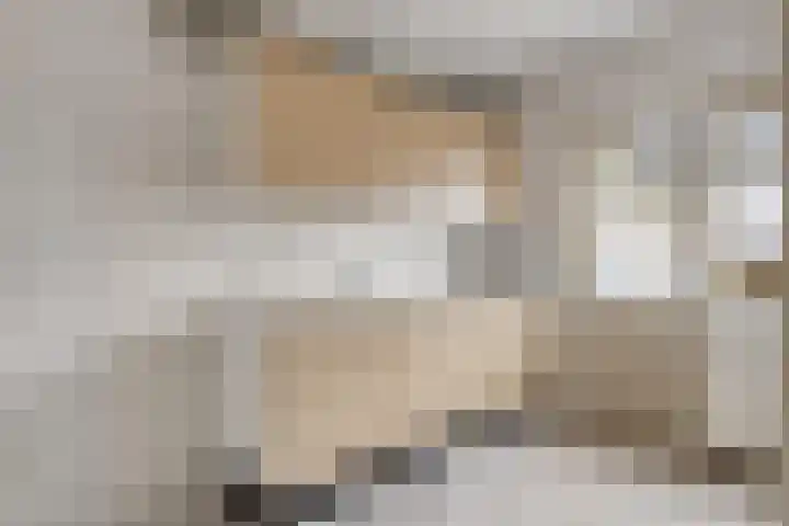 Covelakker 6 Eindhoven thumbnail 5