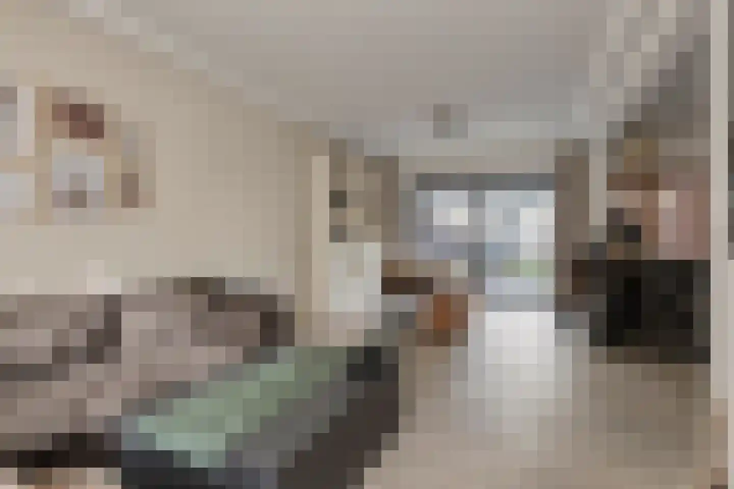 Covelakker 8 Eindhoven thumbnail 11