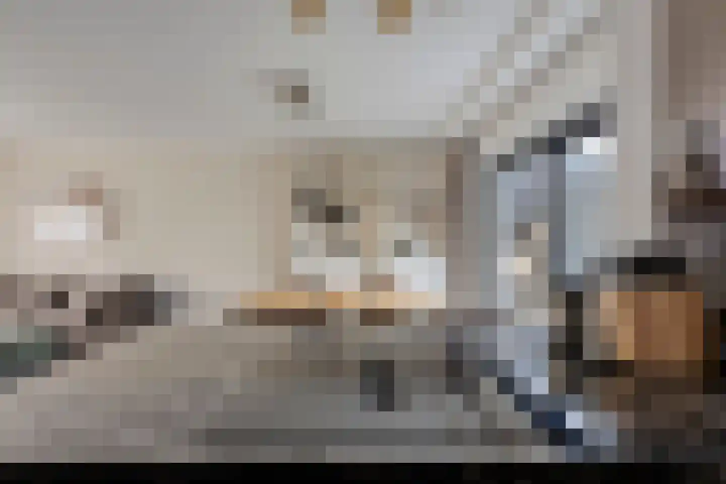 Covelakker 8 Eindhoven thumbnail 18