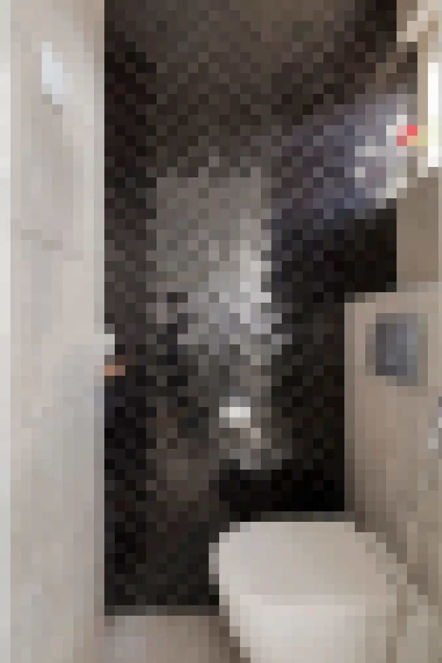 Covelakker 8 Eindhoven thumbnail 8
