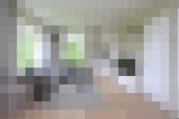 Covikseweg 6 Steenderen thumbnail 13